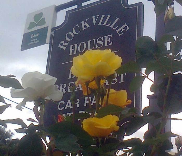 Rockville House B&B Cashel  Exterior photo